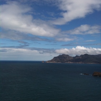 Timeline: Physical Activity Timeline