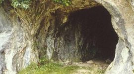 Timeline: LA EVOLUCIÓN DE LA VIVIENDA.