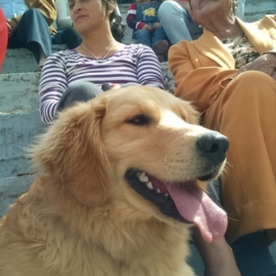 Timeline: John largo