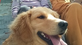 Timeline: John largo