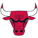 Chicago bulls