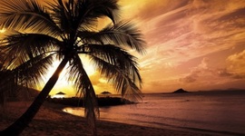 Timeline: Birthday Research Project