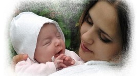 Timeline: Развитие эмбриона человека до 20 недели