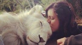 Timeline: Evolución de la escritura