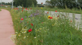 Timeline: Geschiedenis Asse