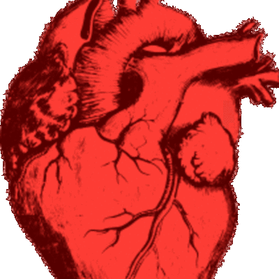 Timeline: My Health Plans for 2020-2070