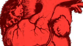 Timeline: My Health Plans for 2020-2070