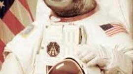 Timeline: We have to do this