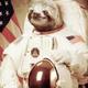 Astronaut sloth
