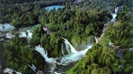 Timeline: Higher Cause Life