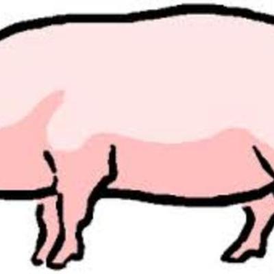 Timeline: A Dive Into the Ever-Changing Mind of Robert Peck