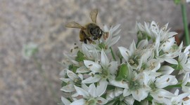 Timeline: 09-10 School Year