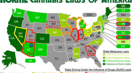 Timeline: Business with Pot