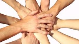 Timeline: Implementacion de la norma