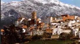 Timeline: Historia de Quesada de Miguel Ángel y Lucía