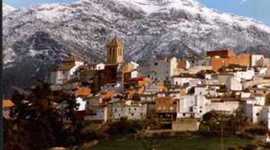 Timeline: Historia de Quesada de Miguel Y Manuel