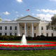 Whitehouse