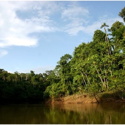 Timeline: Reserva Natural Yasuní