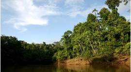 Timeline: Reserva Natural Yasuní