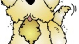 Timeline: 2nd grade 2009-2010