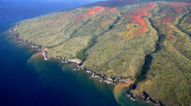 Timeline: Hawaiian History Timeline