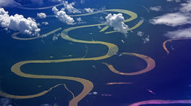 Timeline: MicroBiografía