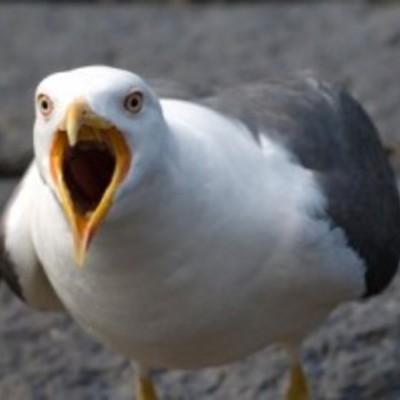 Timeline: Lainey Floore timeline 2015