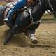 Barrel racing horse