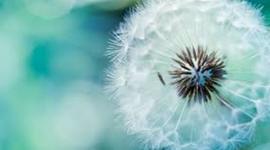 Timeline: Largest Earthquakes