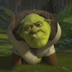 Shrek gonads