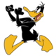 Daffy duck 00402319