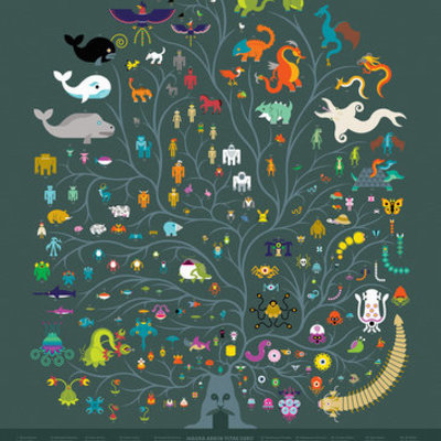 Timeline: EVOLUCIÓN algo de historia