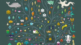 Timeline: EVOLUCIÓN algo de historia