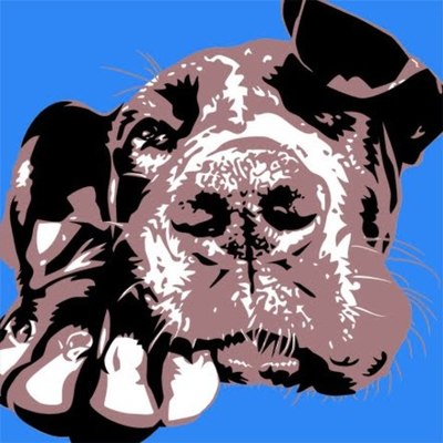 Timeline: La vida de un perro