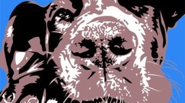 Timeline: La vida de un perro