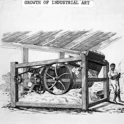 Timeline: Eli Whitney & The Cotton Gin