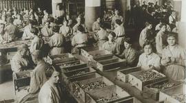 Timeline: La Memoria Colectiva y los Retos del Feminismo: Amelia Valcárcel