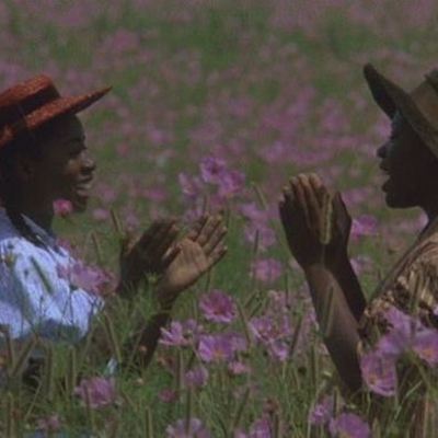Timeline: The Color Purple