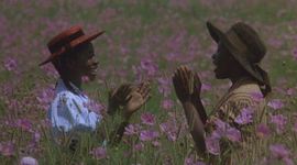 Timeline: The Color Purple