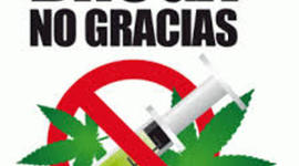 Timeline: LOS JOVENES EN ZONAS URBANAS SON MAS VULNERABLES