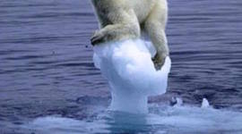 Timeline: Articles on Global Warming (P1 Early Draft Project)