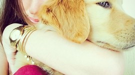 Timeline: UMA BREVE HISTÓRIA DA LINGUÍSTICA