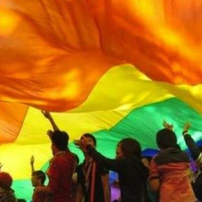 Timeline: MOVIMIENTO LGBTI