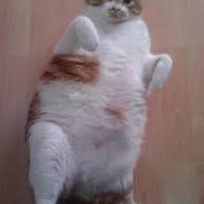 Timeline: IES LA FOIA Tema 8, Científicos médicos.