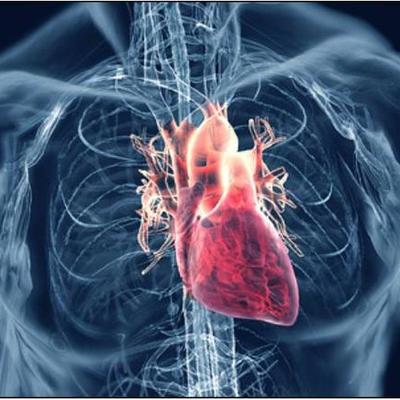 Timeline: Cardiovascular Advances