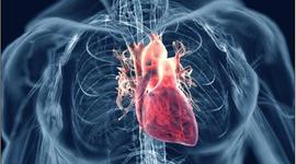 Timeline: Cardiovascular Advances