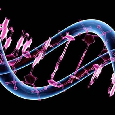 Timeline: Genoma Humano