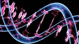 Timeline: Genoma Humano