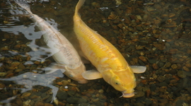 Timeline: My Life So Far