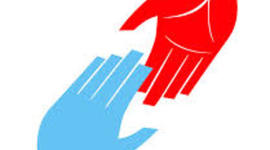 Timeline: What Can I Do To Help?